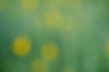 blurred green with bokeh, blur abstract backgroundの写真素材