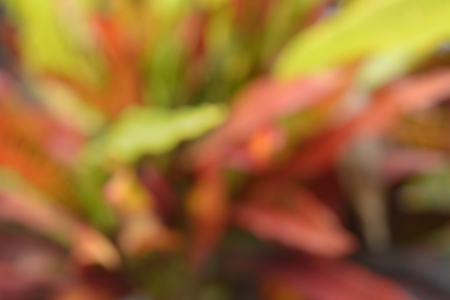 blurred red, yellow with bokeh, abstract backgroundの写真素材
