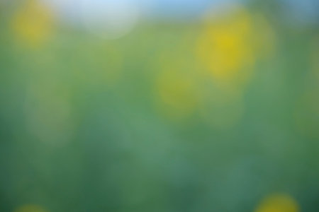 blurred green with bokeh, blur abstract backgroundの写真素材