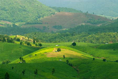 High view of rice terraces Mae Mae Chaem, Chiang Mai, Northern Thailand