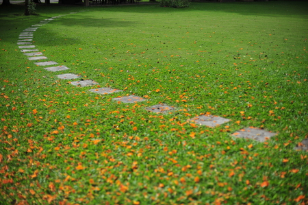 wood stair way on green garden outdoorの写真素材