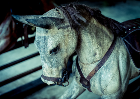 vintage wood rocking horse headの写真素材