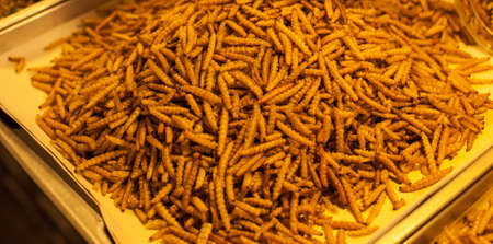 Bamboo Caterpillar fried food, as snack in Asia countries like Thailandの写真素材