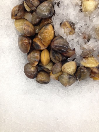Fresh shellfish on ice in the marketの写真素材