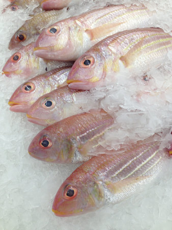 Fresh fish on ice in the market