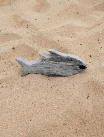 Tropical beach with fish wooden in sand, Concept of summer relaxation