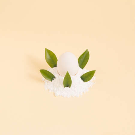 2021 White Easter egg surrounded by green natural leaves. Creative composition lay out on a pastel background.の写真素材