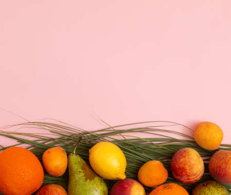 Colorful tropical fruit on a green leaf. Pastel background color of minimal compositionの写真素材