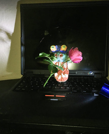 laptop Schreck