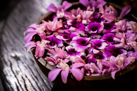 Purple orchids were placed in a clay basin filled with water.の写真素材