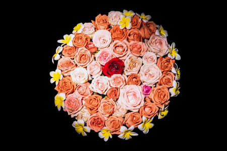 The roses were placed in a terracotta basin to decorate the place.の写真素材