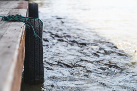 Wooden pontoon on the river that binds tires to prevent the boat from hitting.