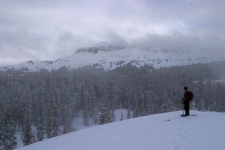 standing in the sierra mountains in california in a snow stormの写真素材