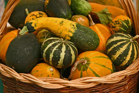 Basket filled with yellow and green summer squashの写真素材