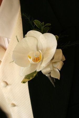 close up of flower on gooms Tuxedo