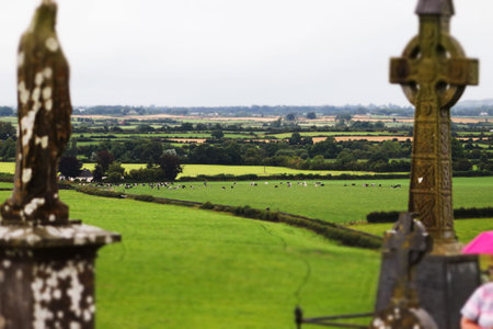 Rock of Cashel Cemetery