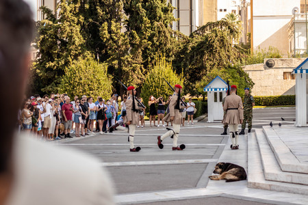 Changing of the Guard at Parliament, Athens Greeceのeditorial素材