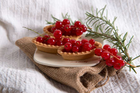 boatsの写真素材