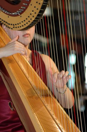 Female musician playing the harpの写真素材