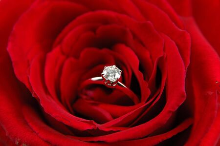 Close up of engagement ring in red roseの写真素材