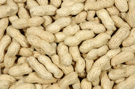 Background of unshelled peanuts