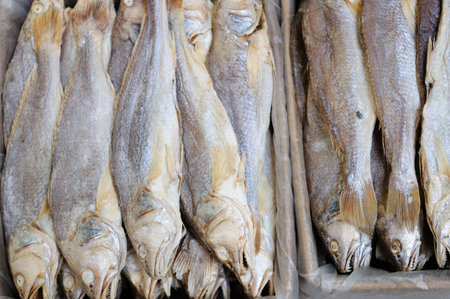 Background of traditional chinese salted fish