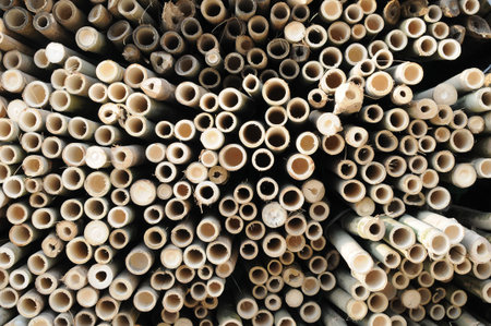 Background of bamboo stem for scaffoldの写真素材