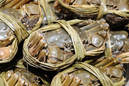 Close up of shanghai crabs (chinese mitten crabs)の写真素材