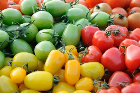 Background of colorful assorted tomatoesの写真素材