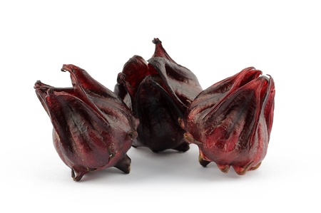 Closeup of roselle flowers in isolated white backgroundの写真素材