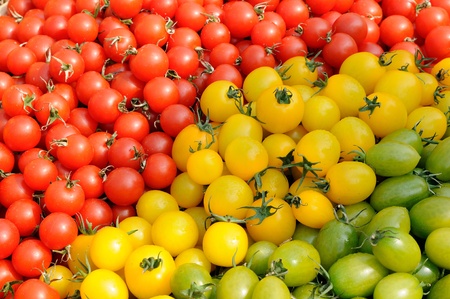 Background of colorful assorted tomatoesの写真素材