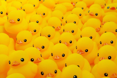 Group of yellow rubber duckの写真素材