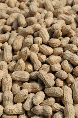 Close up of raw peanuts backgroundの写真素材
