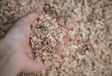 sawdust or wood dust texture background