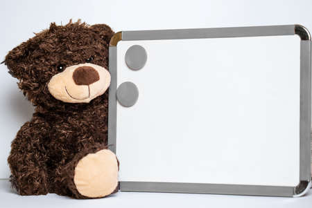 brown teddy bear sitting on a white backgroundの写真素材