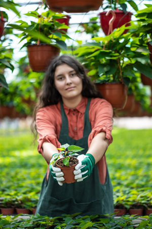 gardener showing the flowers for the customers