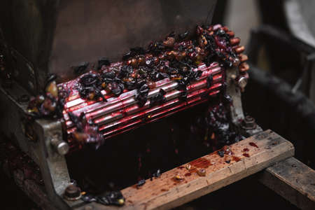 Machine for making red vine from purple grapes. Making red vine.の写真素材