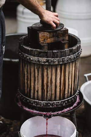 Farmers hands holding the machine. Farmer making red vine from purple grpapes.の写真素材