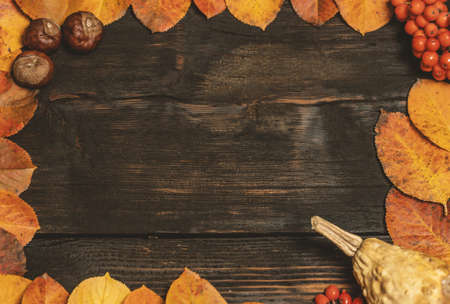 Festive autumn decor from pumpkins, berries and leaves on a black wooden background.  Concept of Thanksgiving day or Halloween.の写真素材