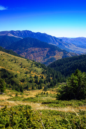 A breathtaking view in the mountains which are surrounded by woods.の写真素材