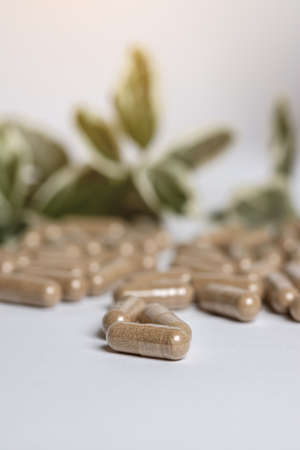 Vitamine E capsules on a white background. Alternative herbal medicine.の写真素材