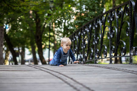 Little blonde haired baby climbing through a bridge. Happy baby.の写真素材