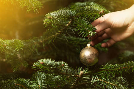 Decorated Christmas tree on blurred background. Woman decorating the tree.の写真素材