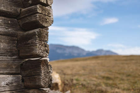 Wonderful wood texture in the mountains. Breathtaking view. Colorful wallpaper.の写真素材