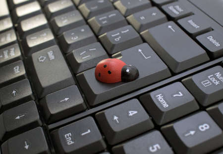 Ladybug Keyboardの写真素材