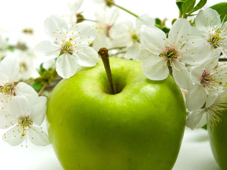 green apple and flowerの写真素材