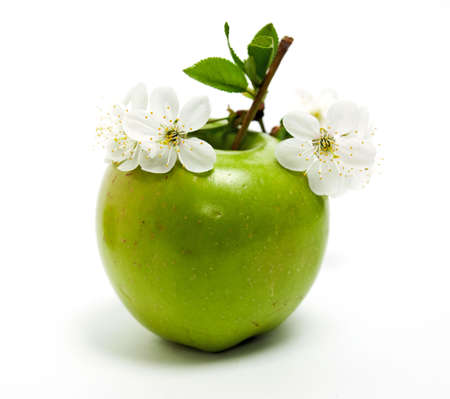 green appleの写真素材