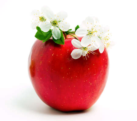 green apple and flowerの写真素材