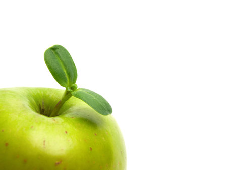  Plant in apple