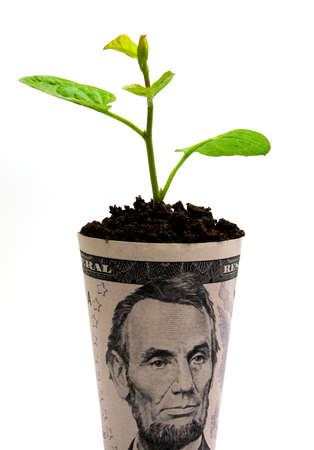 Growing businessの写真素材
